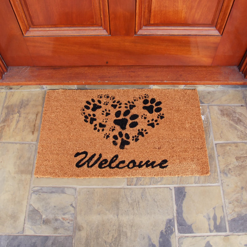 Biseye Non-Slip Outdoor Doormat