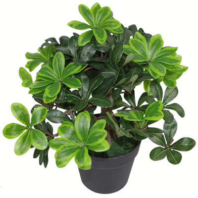 Anjeli 40cm Faux Foliage Plant in Pot