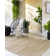 Winn Indoor / Outdoor Rug