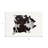 Cowhide Indoor Rug