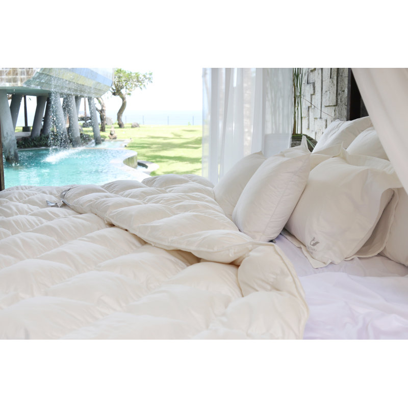 Couette européenne en duvet d'oie 900G (Queen) - Chaude