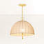 Luminaire suspendu en dôme 1 lumière Palmetto 20 po par Cortney Bishop pour Hudson Valley Lighting