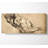 Rubens Study Of Mans Torso - Wrapped Canvas Print-1564128511