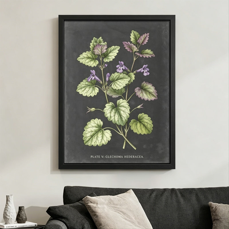 Illustration moderne à base de plantes abstraites: Glechoma hederacées avec fleurs mauves, style imprimé botanique. Toile encadrée 24 "x 36" avec cadre en bois noir
