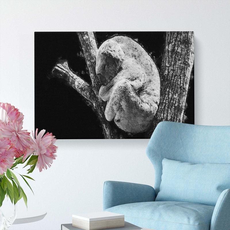 Koala Bear Resting In A Tree - Wrapped Canvas Print, 35cm H x 50cm W x 3cm D