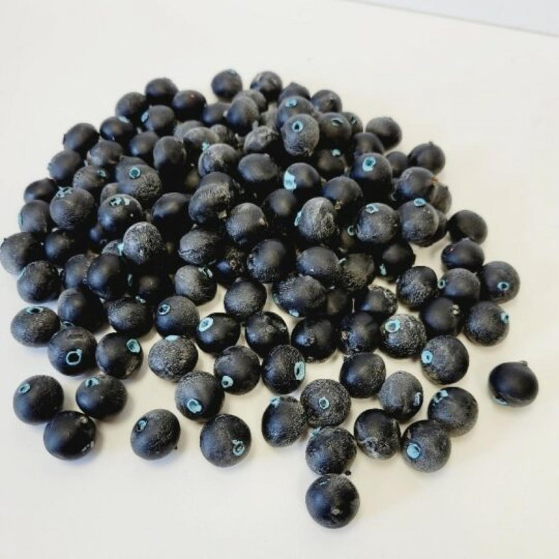 Paquet de fruits artificiels avec bleuets
