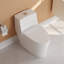 Toilette allongée monobloc DeerValley Prism-94830784-118612915