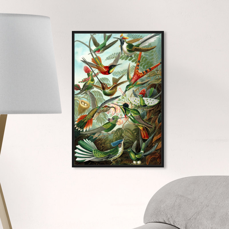 Haeckel - Étude d'oiseaux, impression, H 15 po x l 10 po, Toile avec cadre noir