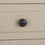 Painswick Solid Wood Accent Chest-507985406