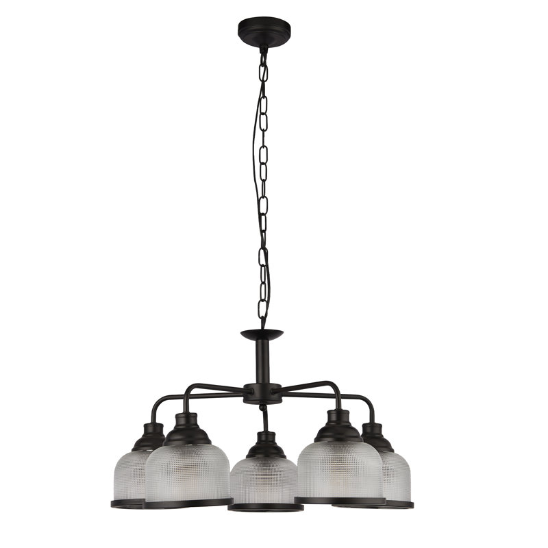 Asner 5 - Light Shaded Chandelier, Powder Coated Matt