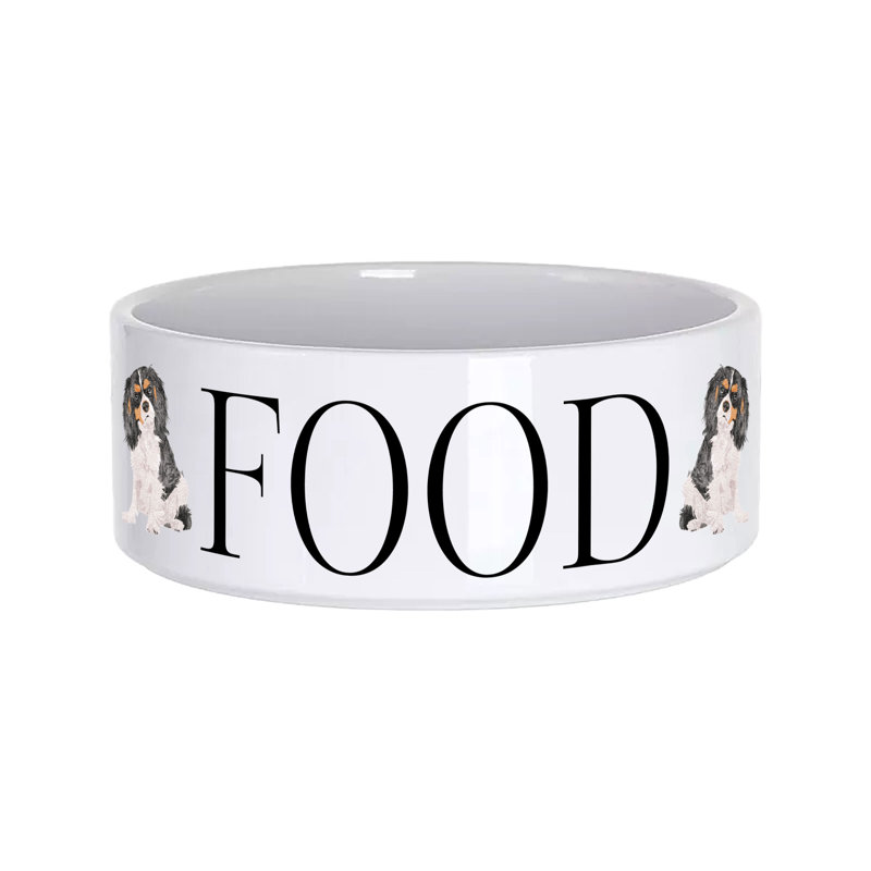 Vivid Squid Wholesale Ceramic / Porcelain Decorative Bowl 1