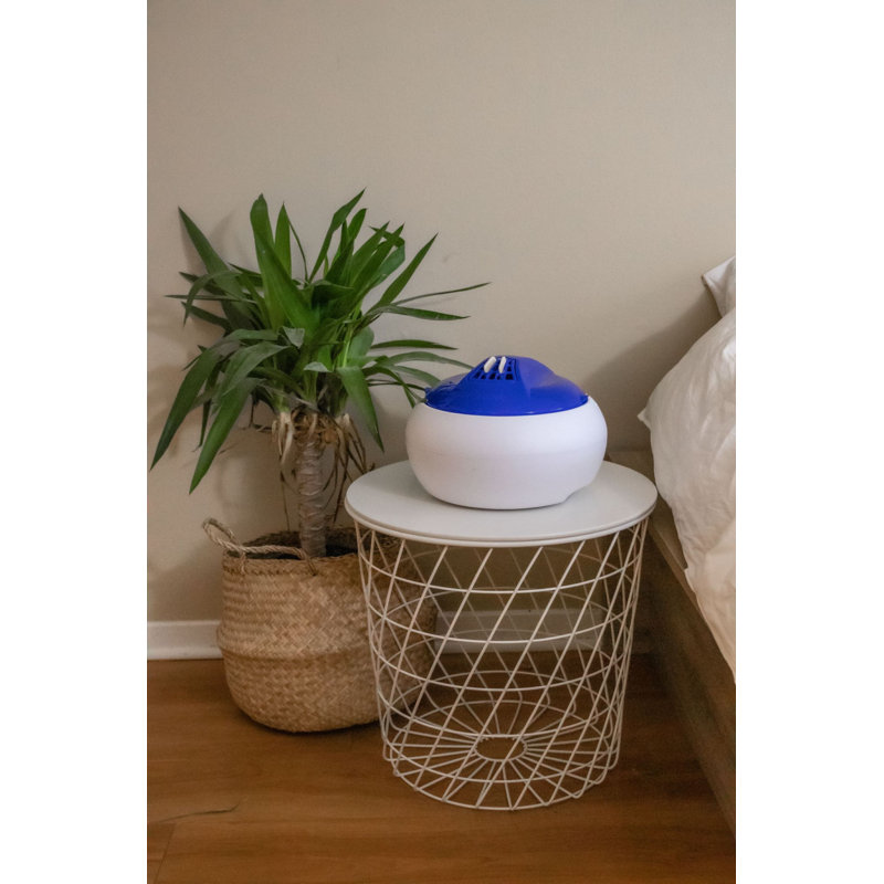 Crane USA 1 Gallons Warm Mist Steam Tabletop Humidifier for 250 Cubic Feet, Blue