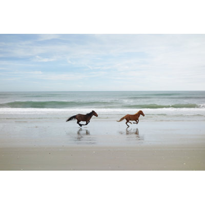 " Two Wild Horses " by Zimmytws