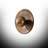 Caelum 1 - Light Circular Flush Mount