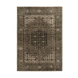 Prato Hand Knotted Area Rug in Brown