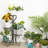 Henrika Plant Stand