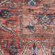 Lisle Machine Washable Persian Rust Multicolor Area Rug