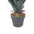 2Pcs Artificial Spiked Agave Plants