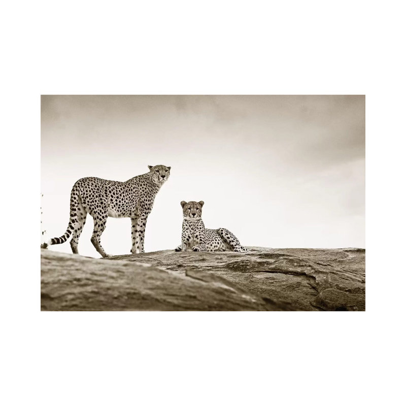 Alert Cheetahs by Klaus Tiedge - Wrapped Canvas Print, 20.32 cm H x 30.48 cm W