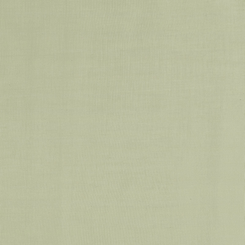 Light Moss Cotton Sheer Rod Pocket Curtain Panel 50" x 96"
