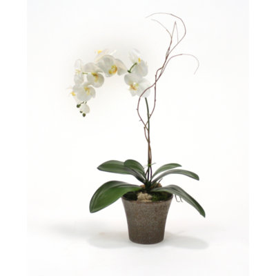 Polysilk Orchid Arrangement in Pot