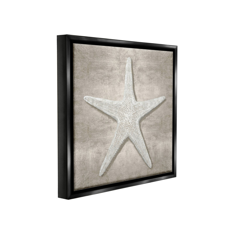 «Rustic Gray Starfish Floater Frame» par Amber Sterling sur toile, Cadre flottant noir de jais, H 18 po x l 18 po