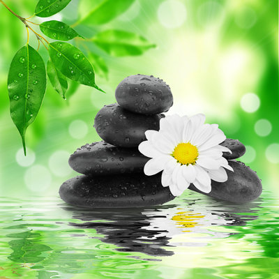 Baboucarr Spa - photographie sur toile tendue