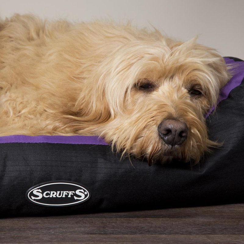 Expedition Polyester Pet Bed, 19cm H x 75cm W x 60cm D, Plum