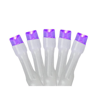 20 Battery Operated LED Wide Angle Christmas Lights