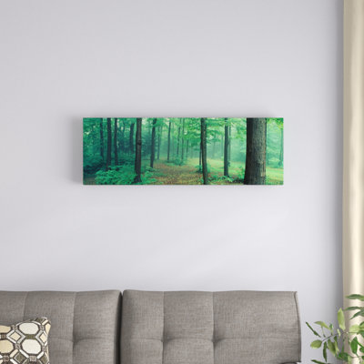 " Chestnut Ridge Park, Orchard Park, New York State, USA " by Panoramic Images