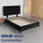 Allondra Upholstered Platform Bed-435440417-435440408