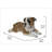Lying Bulldog Pup