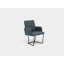 Upholstered Arm Chair