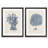 " Sea Coral Study III " 2 - Pieces-1856240597-1856240587-1856240585