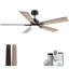 Ventilateur de plafond moderne à 5 pales avec lumières, télécommande et contrôle Alexa, moteur à courant continu silencieux, à intensité variable, intérieur extérieur-1393436457-1393436462