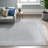 Hassinger Indoor / Outdoor Rug-747957945