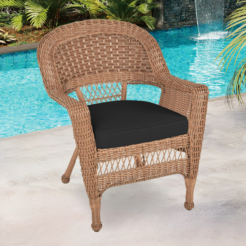 Arliss Steel Outdoor Lounge Chair, Black, Honey