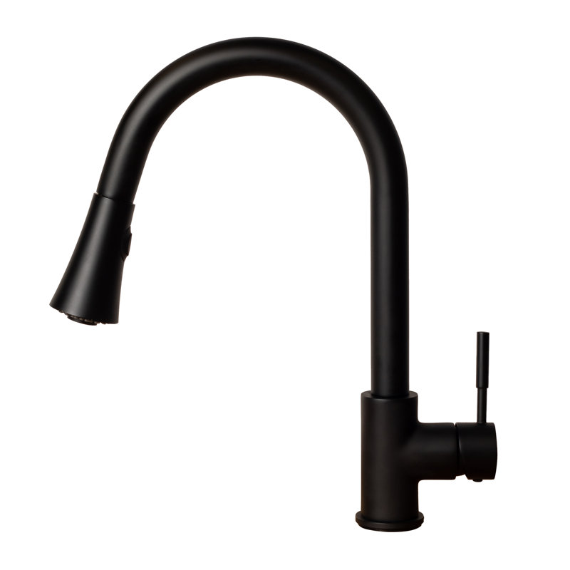 Edison Single Handle Kitchen Faucet with Side Spray and Accessories, Matte Black