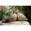 Bird Dove Garden Statue