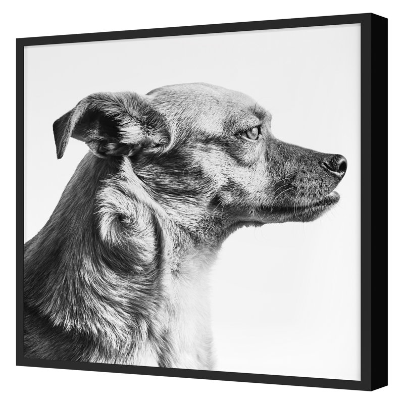 «Furry Friend 1» par Pearson, Victoria, Noir, H 16 po x l 16 po