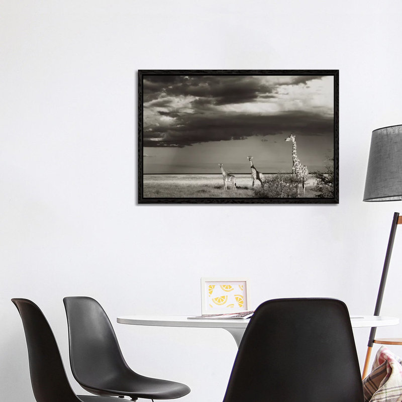 B&W Giraffe Trio by Klaus Tiedge - Print on Canvas, Black Framed, 101.6 cm H x 66.04 cm W
