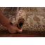 Tapis brun à motif floral indien fait à la main 9 x 12 po