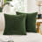 Striped Velvet Decor Soft Throw Pillow Covers With Wave Design（Set of 2）-101450530-101450524
