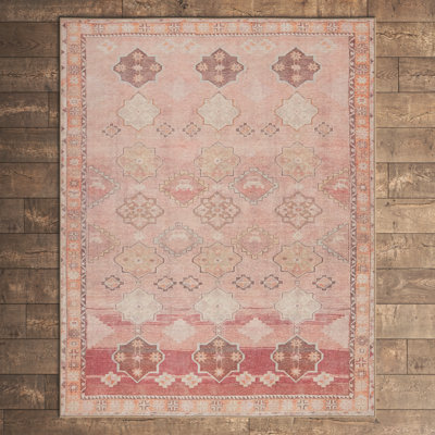 Asuncin Polyester Machine Washable Performance Rug