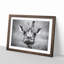Wonderful Giraffe - Framed Print-56739753-56739755