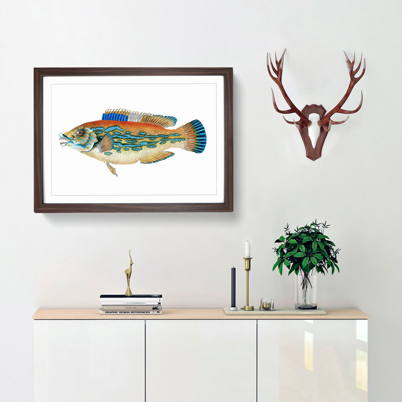 Striped Bass Fish by Edward Donovan - Picture Frame Art Print, 27cm H x 36cm W x 2cm D, Walnut Framed