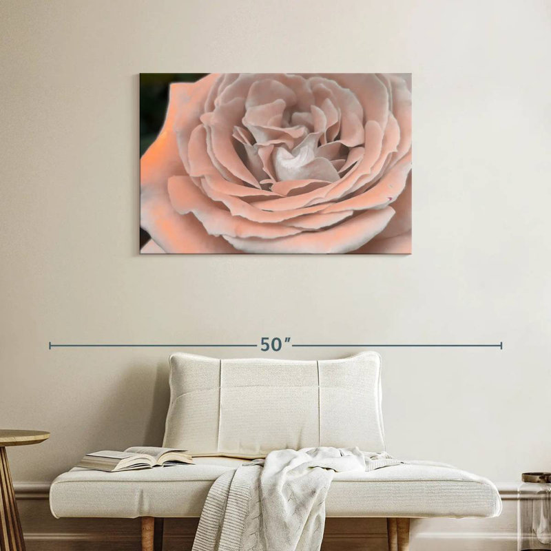 Doux pétale de rose, H 24 po x l 36 po