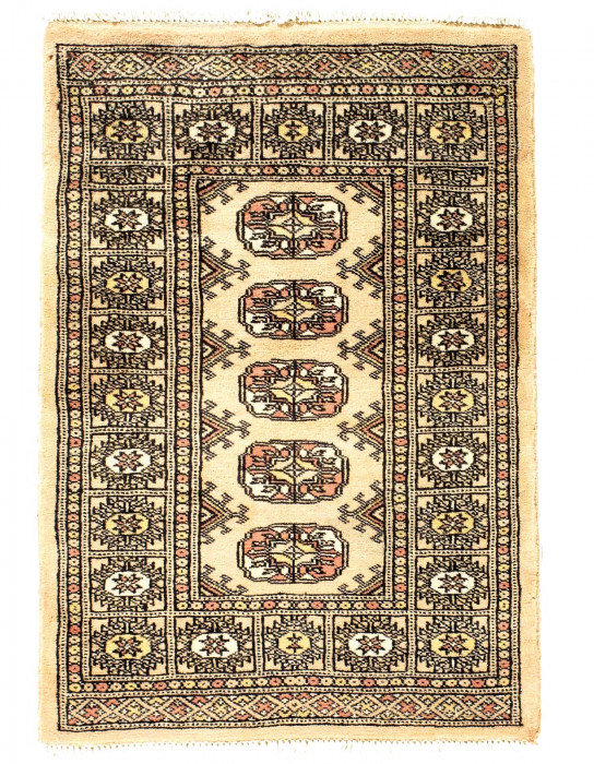 Jainab Hand Knotted Wool Area Rug in Ivory