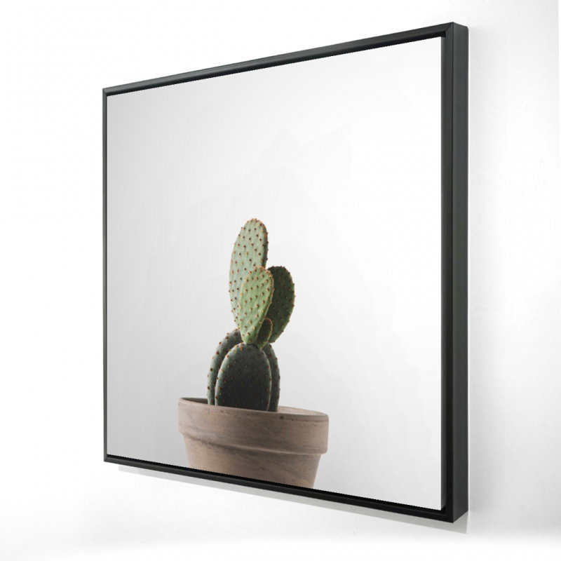 " Potted Cactus "