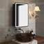 Miroir pour armoire à pharmacie Mahisha-818394993